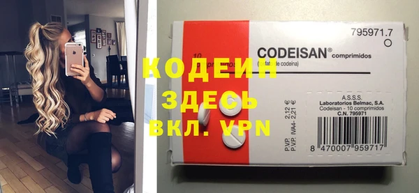 хмурый Алексин