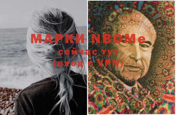 хмурый Алексин
