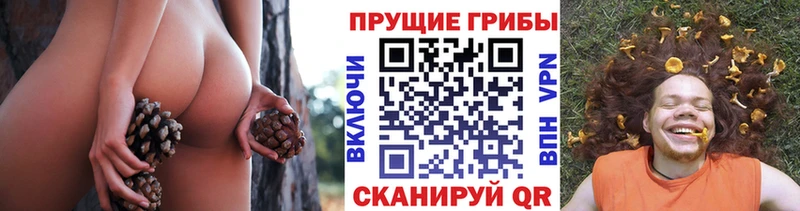 где продают наркотики Арзамас Галлюциногенные грибы ЛСД